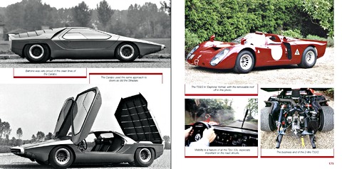 Pages of the book Alfa Romeo Tipo 33: The Developm and Racing History (2)