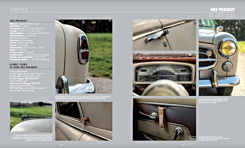 Páginas del libro Peugeot - Les plus emblématiques 1950-2010 (Autofocus) (2)