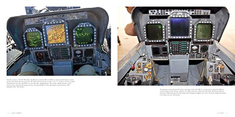 Seiten aus dem Buch Legacy Hornets: Boeing's F/A-18 A-D Hornets (2)
