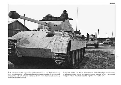 Páginas del libro Panther on the Battlefield (2) (World War Two Photobook Series) (1)
