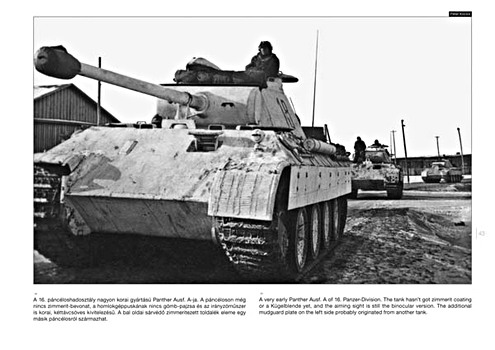 Strony książki Panther on the Battlefield (2) (1)