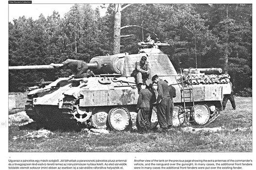 Strony książki Panther on the Battlefield (1)