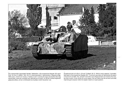 Páginas del libro Sturmgeschütz III on the Battlefield (3) (World War Two Photobook Series) (1)