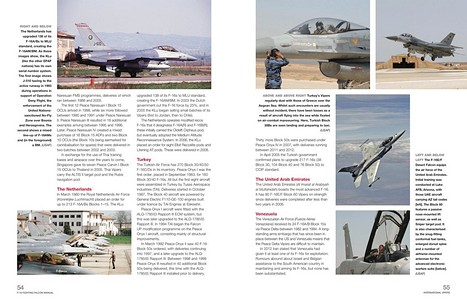 Páginas del libro General Dynamics F-16 Fighting Falcon Manual (1978 onwards) - An insight into owning, servicing and flying (Haynes Aircraft Manual) (1)