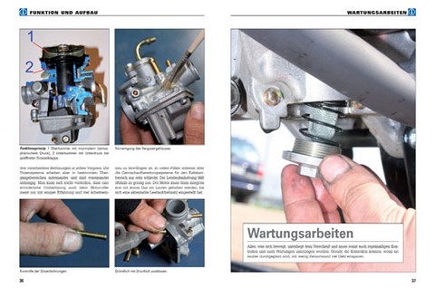 In jeder Besitzer-Anleitung der Reihe werden Aktivitäten, die Sie leicht selbst ausführen können, ausführlich beschrieben.